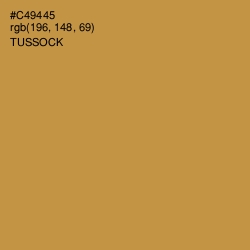 #C49445 - Tussock Color Image