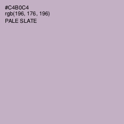#C4B0C4 - Pale Slate Color Image