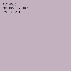 #C4B1C0 - Pale Slate Color Image