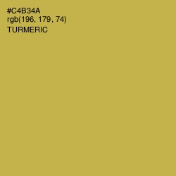 #C4B34A - Turmeric Color Image