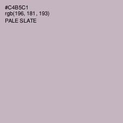 #C4B5C1 - Pale Slate Color Image