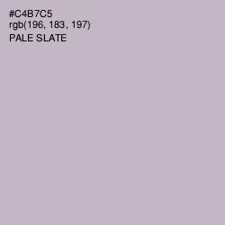 #C4B7C5 - Pale Slate Color Image