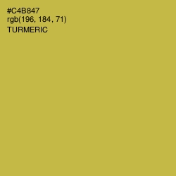 #C4B847 - Turmeric Color Image