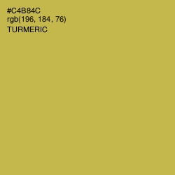 #C4B84C - Turmeric Color Image