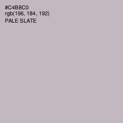 #C4B8C0 - Pale Slate Color Image