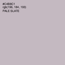 #C4B8C1 - Pale Slate Color Image