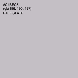 #C4BEC5 - Pale Slate Color Image