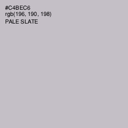 #C4BEC6 - Pale Slate Color Image