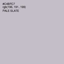 #C4BFC7 - Pale Slate Color Image