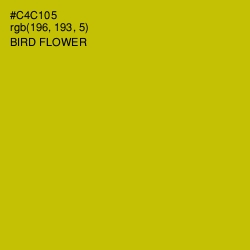 #C4C105 - Bird Flower Color Image