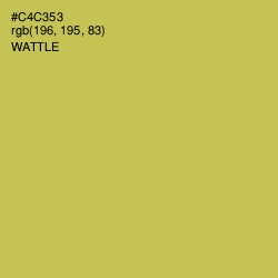 #C4C353 - Wattle Color Image