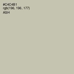 #C4C4B1 - Ash Color Image