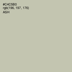 #C4C5B0 - Ash Color Image