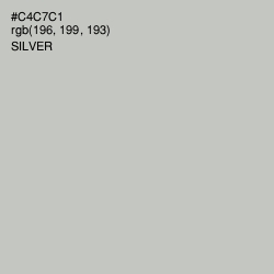 #C4C7C1 - Silver Color Image