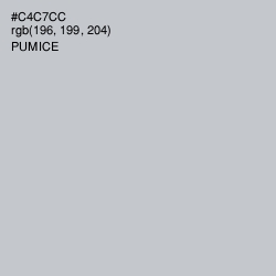 #C4C7CC - Pumice Color Image