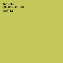 #C4C858 - Wattle Color Image