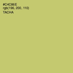 #C4C86E - Tacha Color Image