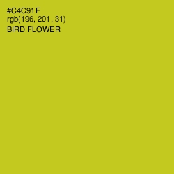 #C4C91F - Bird Flower Color Image