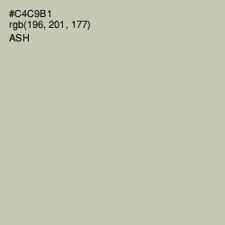 #C4C9B1 - Ash Color Image