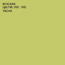 #C4CA6A - Tacha Color Image