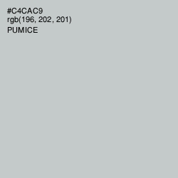 #C4CAC9 - Pumice Color Image