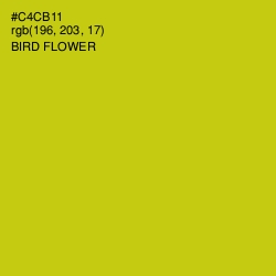 #C4CB11 - Bird Flower Color Image