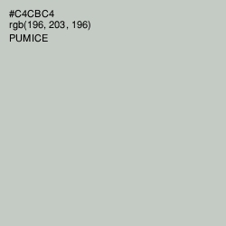 #C4CBC4 - Pumice Color Image