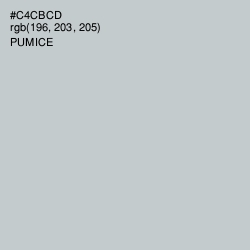 #C4CBCD - Pumice Color Image
