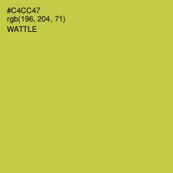 #C4CC47 - Wattle Color Image