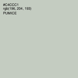 #C4CCC1 - Pumice Color Image