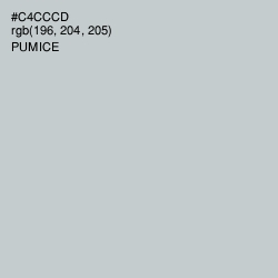 #C4CCCD - Pumice Color Image