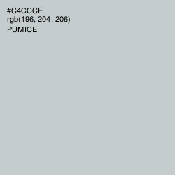 #C4CCCE - Pumice Color Image