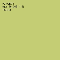 #C4CD74 - Tacha Color Image