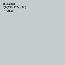 #C4CDCE - Pumice Color Image