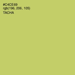 #C4CE69 - Tacha Color Image
