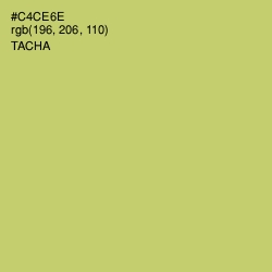 #C4CE6E - Tacha Color Image