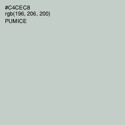 #C4CEC8 - Pumice Color Image