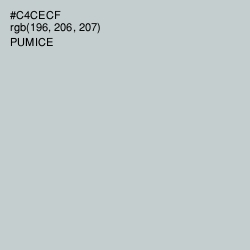 #C4CECF - Pumice Color Image