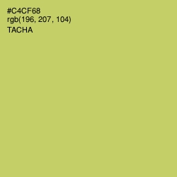#C4CF68 - Tacha Color Image