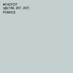 #C4CFCF - Pumice Color Image