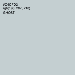 #C4CFD2 - Ghost Color Image