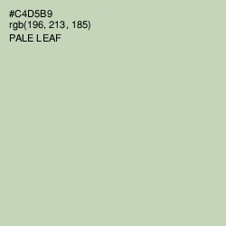 #C4D5B9 - Pale Leaf Color Image