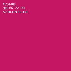 #C51663 - Maroon Flush Color Image