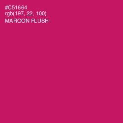 #C51664 - Maroon Flush Color Image