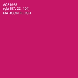 #C51668 - Maroon Flush Color Image