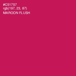 #C51757 - Maroon Flush Color Image