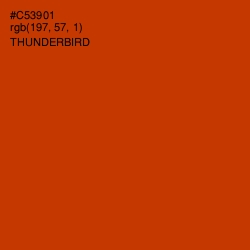 #C53901 - Thunderbird Color Image