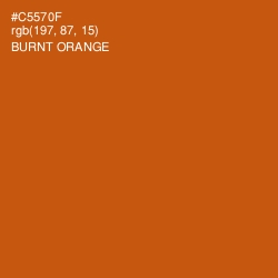 #C5570F - Burnt Orange Color Image