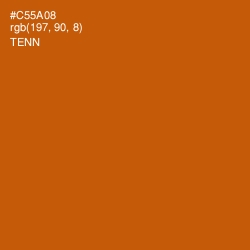 #C55A08 - Tenn Color Image
