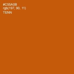 #C55A0B - Tenn Color Image